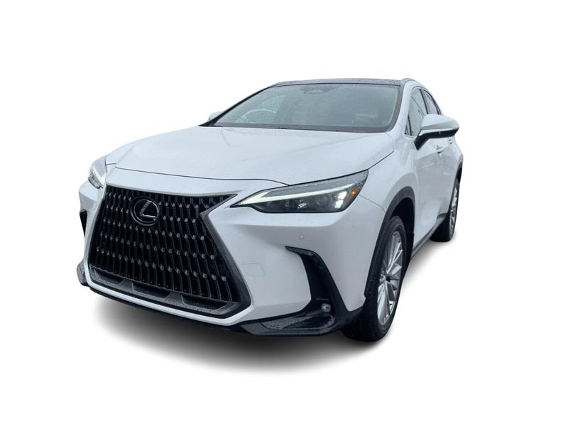 lexus NX 2024 - 5