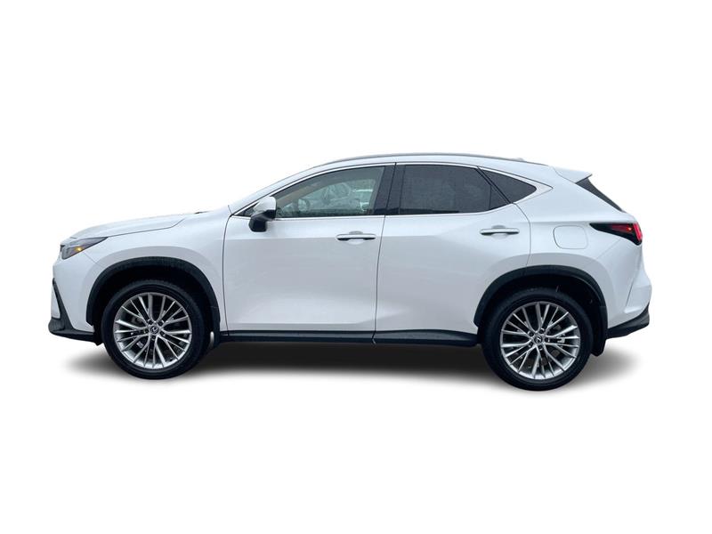 lexus NX 2024 - 8