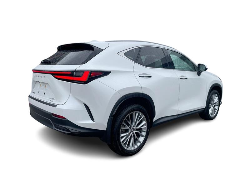 lexus NX 2024 - 14