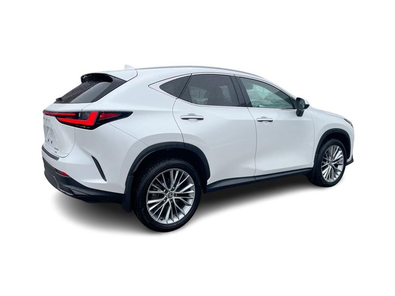 lexus NX 2024 - 15