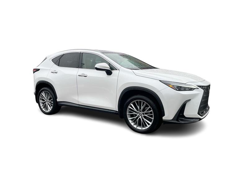 lexus NX 2024 - 17