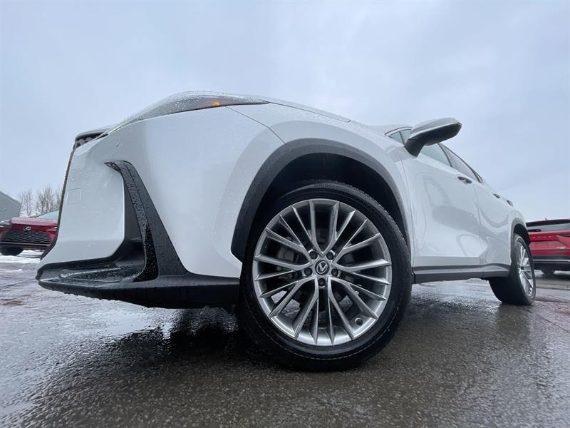 lexus NX 2024 - 18