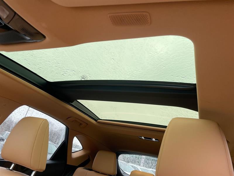 lexus NX 2024 - 29