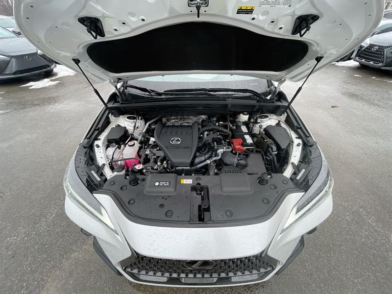 lexus NX 2024 - 33