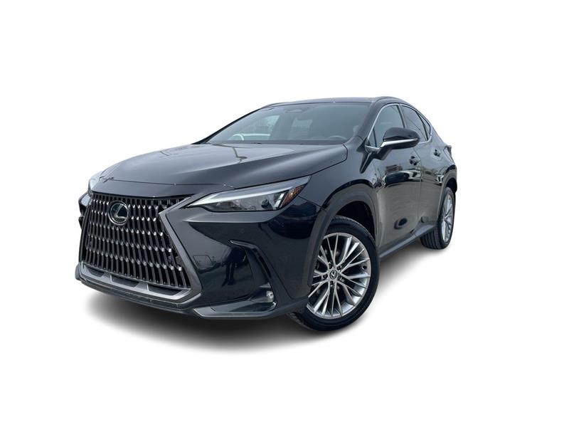 lexus NX 2024
