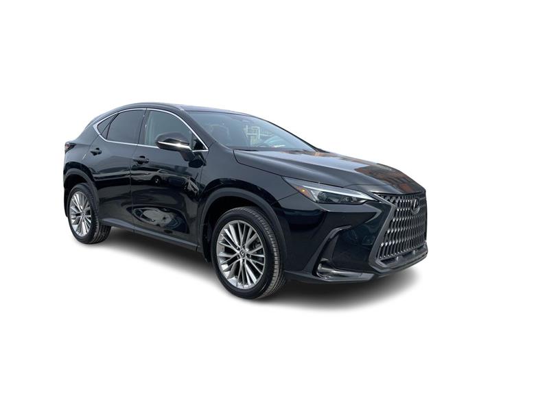 lexus NX 2024 - 2