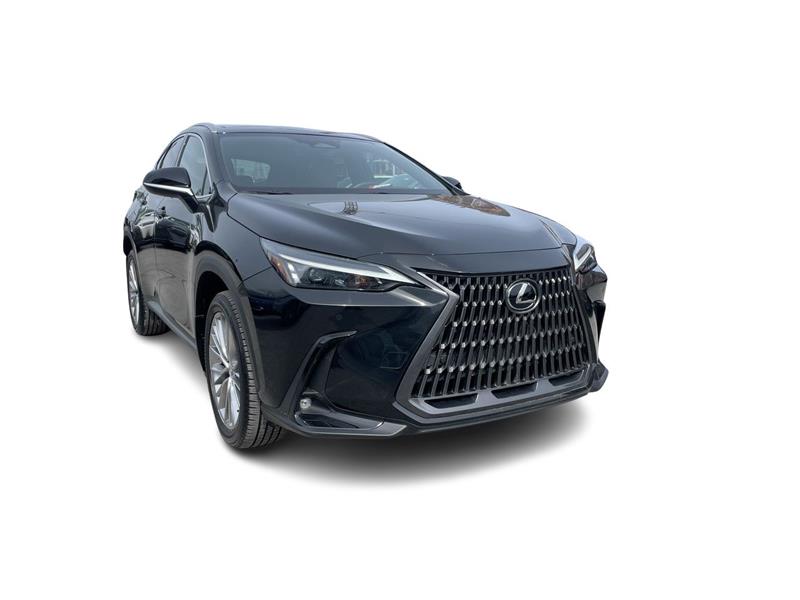 lexus NX 2024 - 3