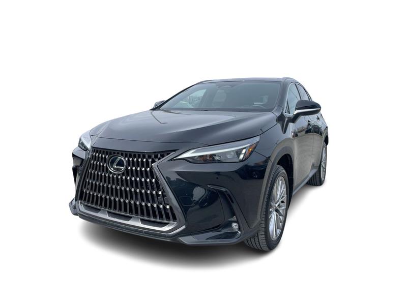 lexus NX 2024 - 5