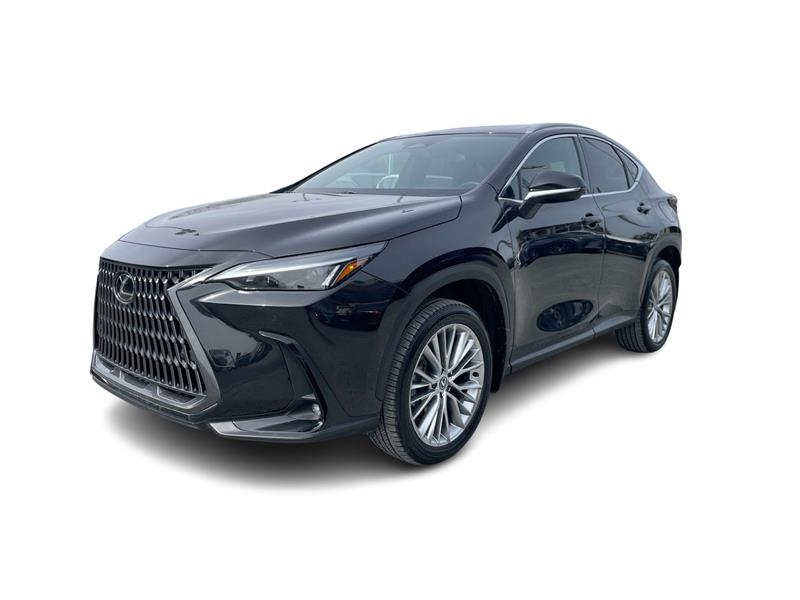 lexus NX 2024 - 6