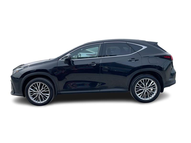 lexus NX 2024 - 8