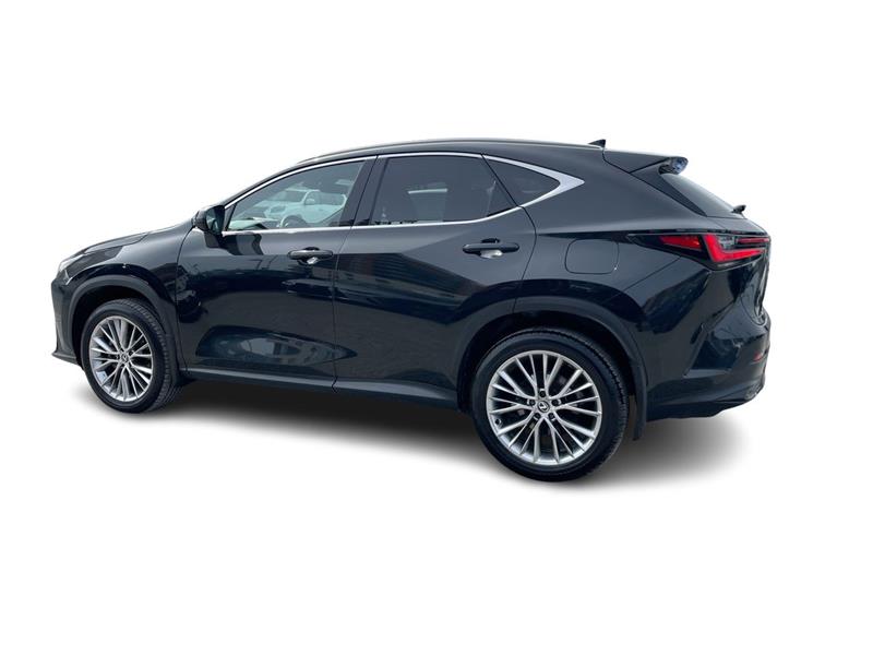 lexus NX 2024 - 9