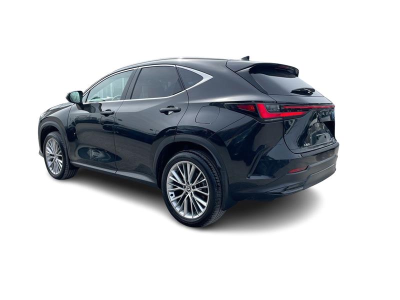 lexus NX 2024 - 10