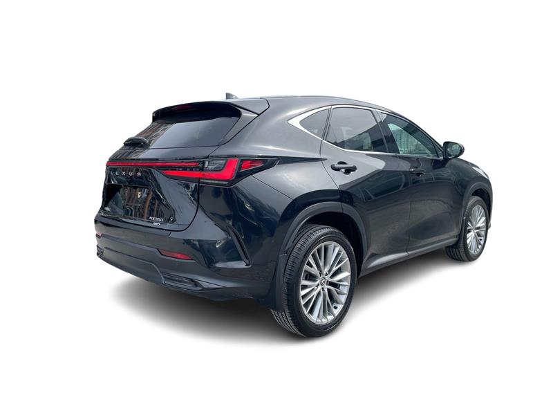 lexus NX 2024 - 14