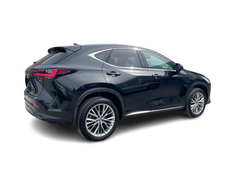 lexus NX 2024 - 15