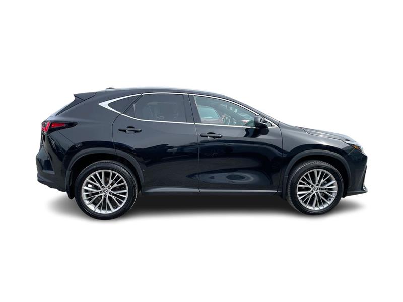 lexus NX 2024 - 16