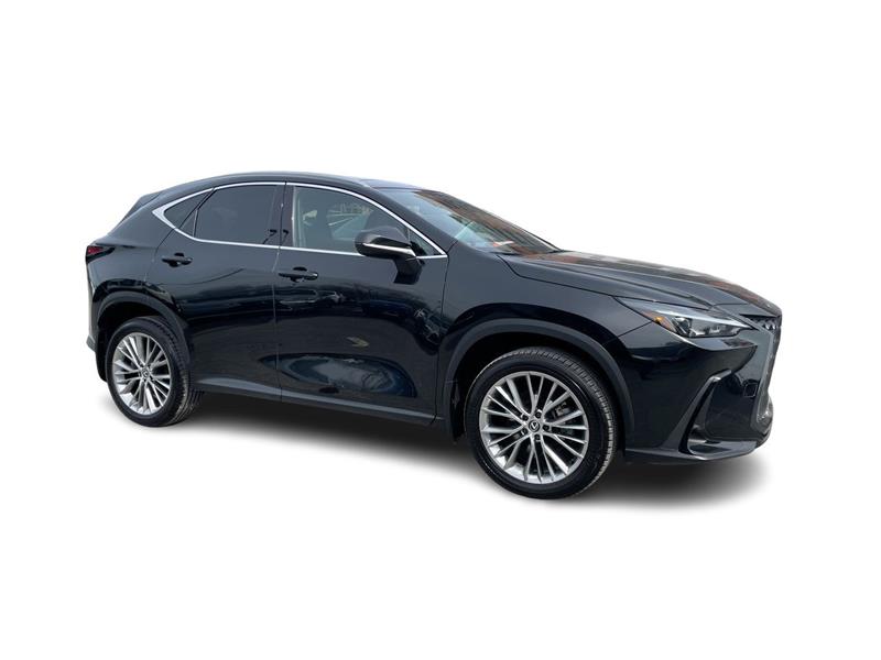 lexus NX 2024 - 17