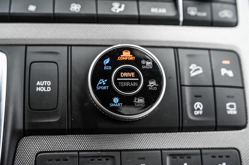 hyundai Palisade 2020 - 25
