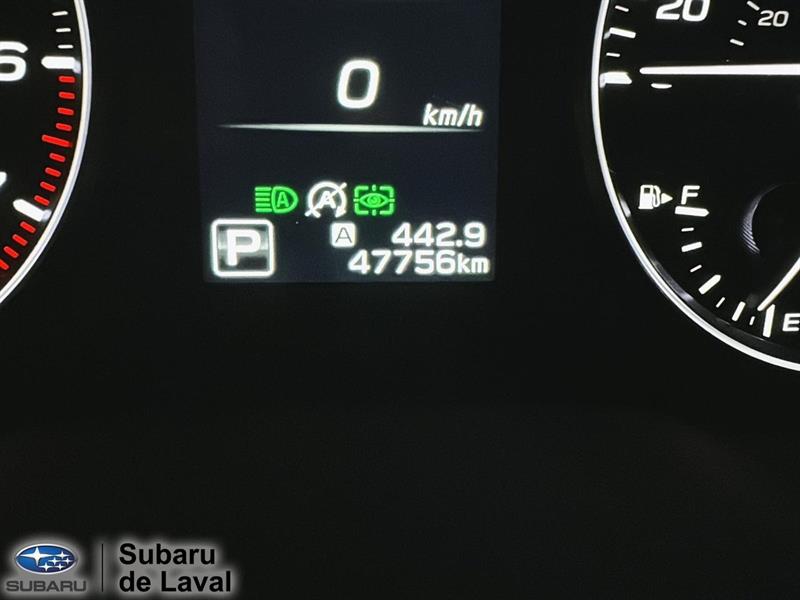 subaru Outback 2024 - 25