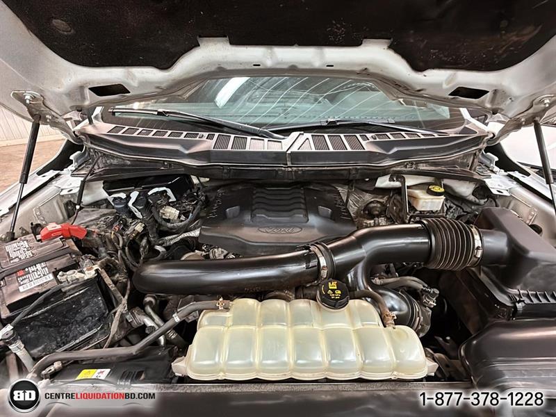 ford F-150 2021 - 14