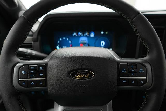 ford F-150 2025 - 17
