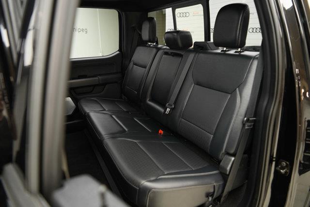 ford F-150 2025 - 23