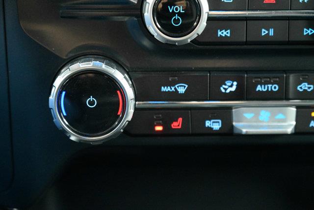 ford F-150 2025 - 19