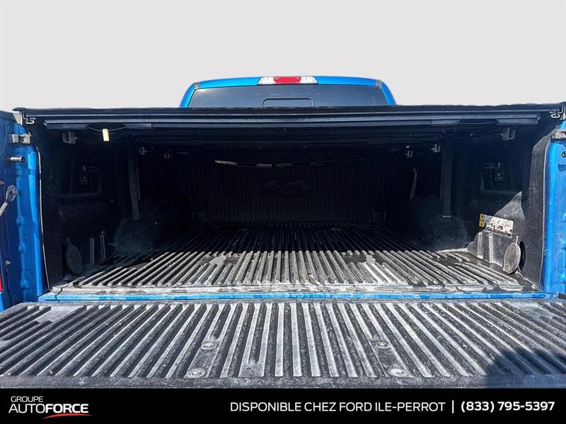 ford F-150 2019 - 15