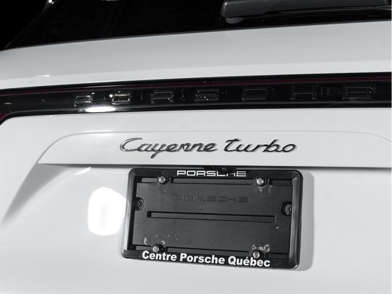 porsche Cayenne 2020 - 20