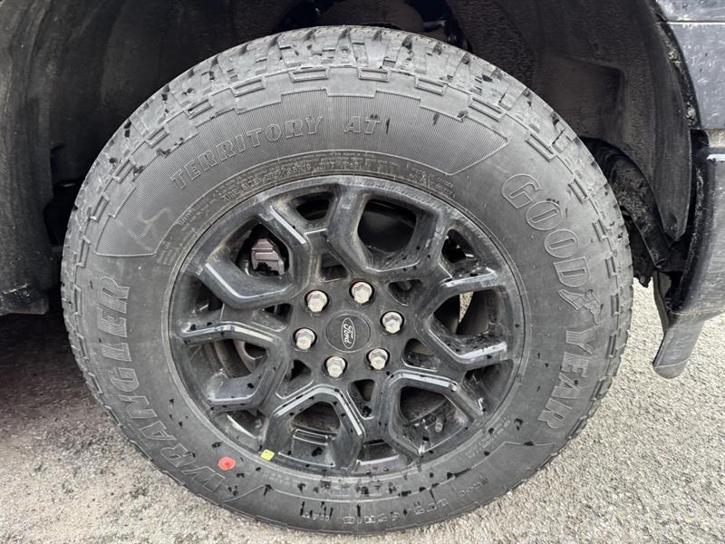 ford F-150 2026 - 9