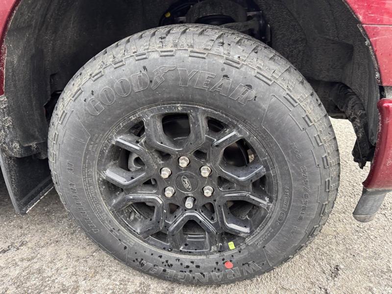 ford F-150 2026 - 11