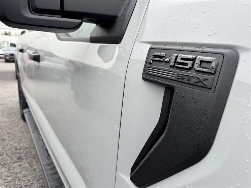 ford F-150 2026 - 4