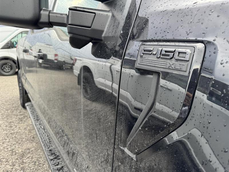 ford F-150 Hybrid 2026 - 4