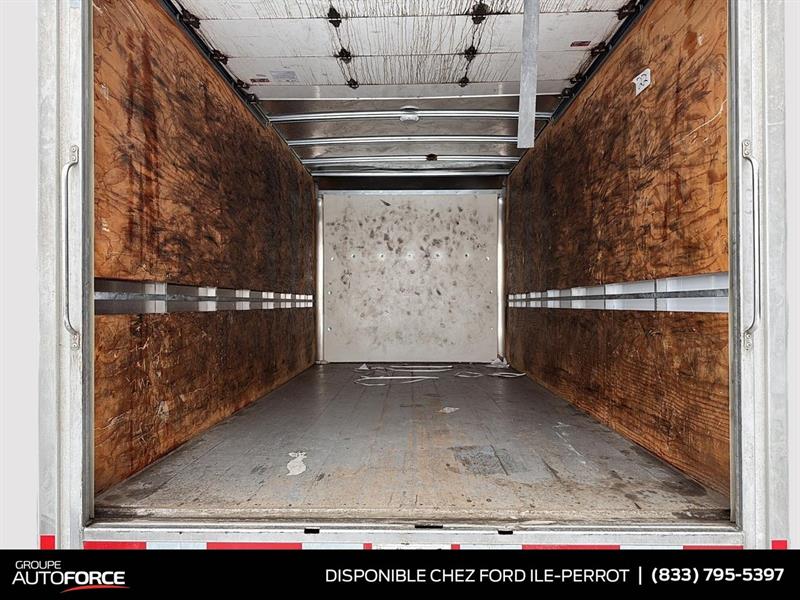 ford Transit fourgon tronqué 2024 - 6
