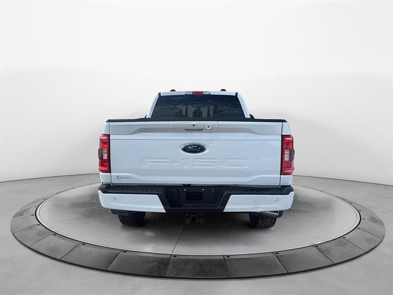 ford F-150 2023 - 3