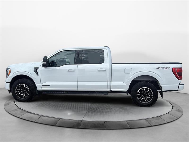 ford F-150 2023 - 5