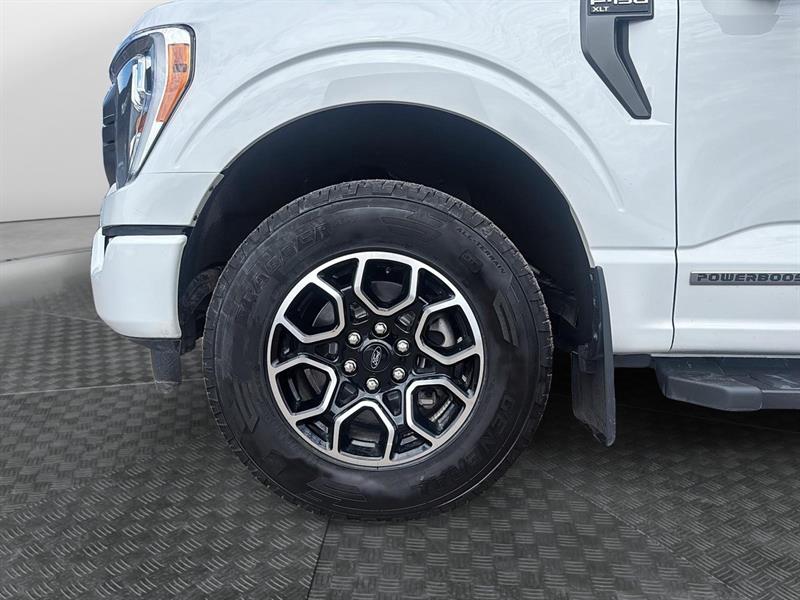 ford F-150 2023 - 6