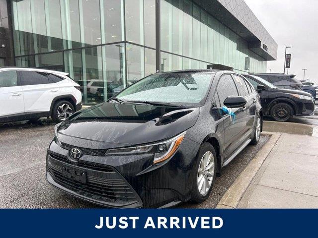 toyota Corolla 2024