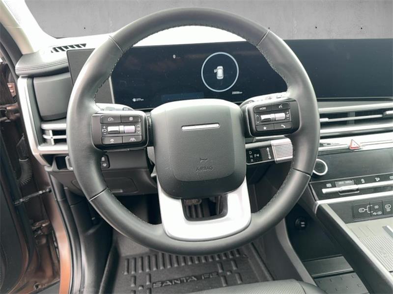 hyundai Santa Fe 2024 - 14