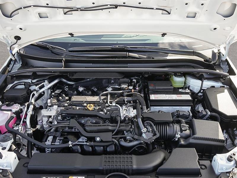 2026 Toyota Corolla - Image 6