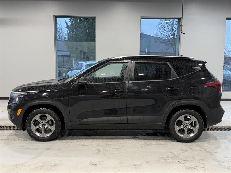 kia Seltos 2022 - 3
