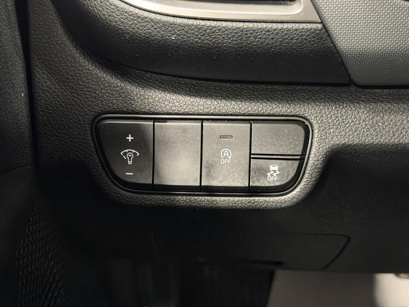 kia Seltos 2022 - 11