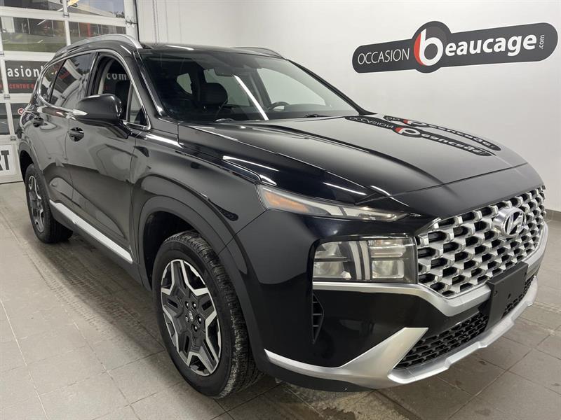 hyundai Santa Fe 2021 - 6