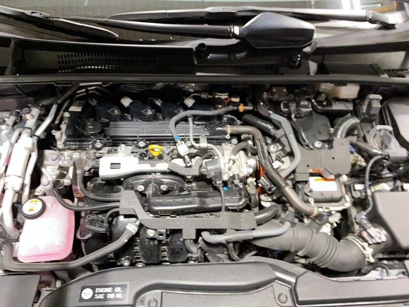 toyota Prius Prime 2024 - 9
