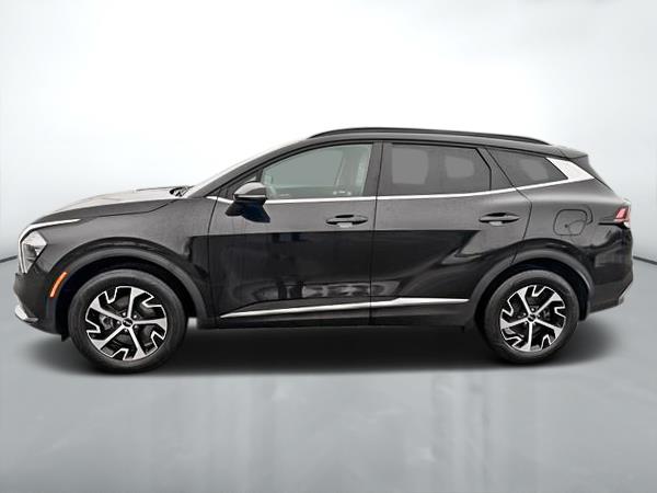 kia Sportage 2024 - 4