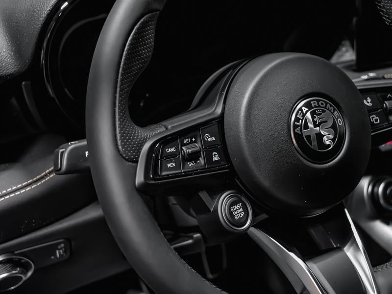 alfa romeo Tonale 2025 - 13