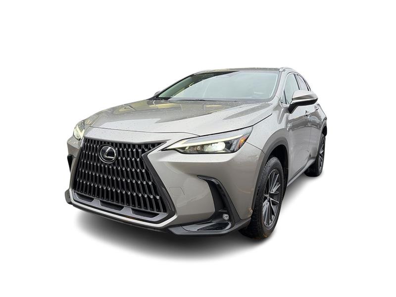 lexus NX 2022 - 5