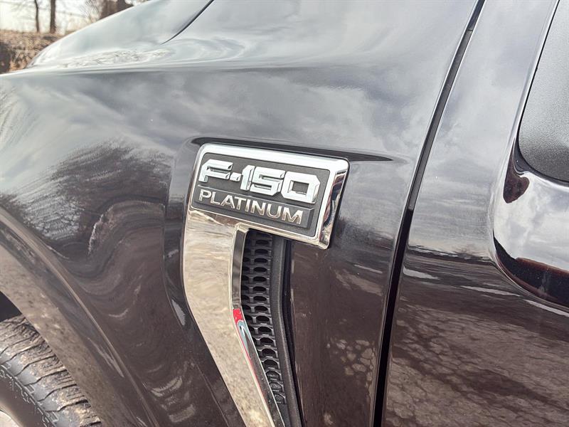 ford F-150 2023 - 7