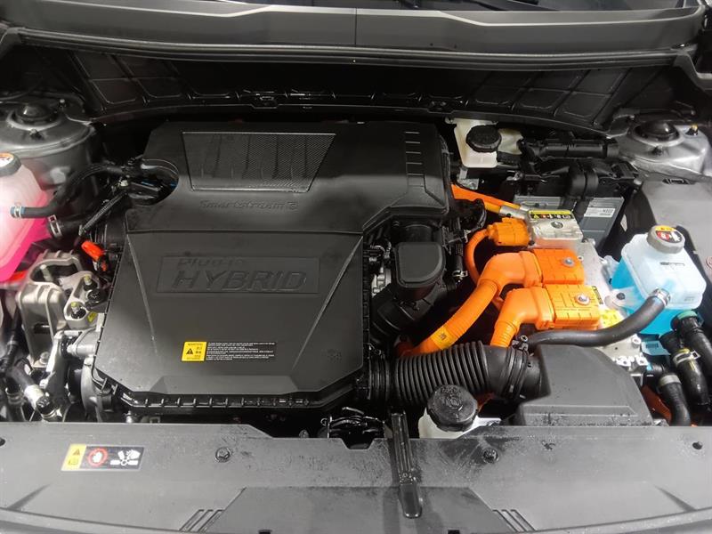 kia Niro 2025 - 7