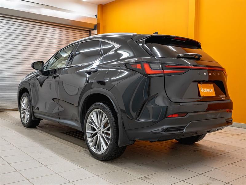 lexus NX 2024 - 6