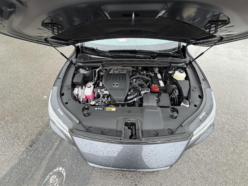 lexus RX 2025 - 33